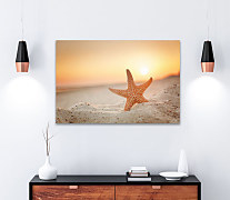 Obraz Hviezdica 1626